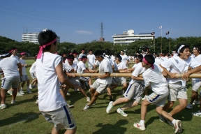 生徒会　桜山祭体育の部（高校）３５